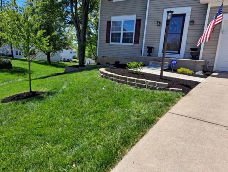 Landscaping and Lawn Care